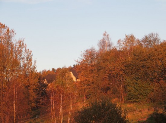 Alles herbstlich rot in Thalheim