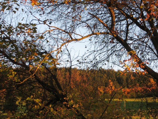 indian-summer-thalheim-erzgebirge2