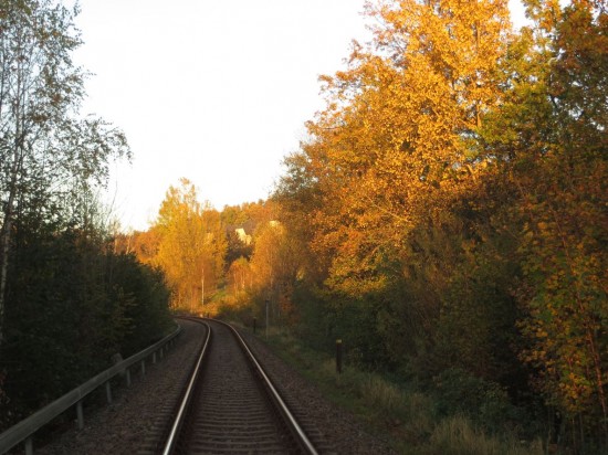 Bahnstrecke in Thalheim Erzgebirge im Herbst