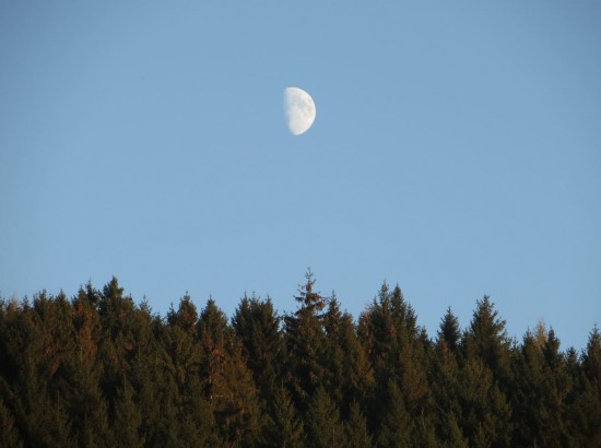 Ein Mond am Tag 