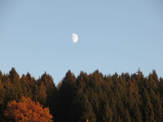 novemberanfang-thalheim-erzgebirge-mond-am-tag