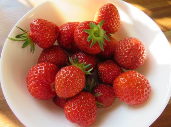 Eine Schüssel süße Erdbeeren aus dem eigenen Garten