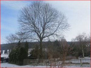 Thalheim Erzgebirge am 28.01.2014 um 12:20 Uhr