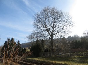 Wetter in Thalheim Erzgebirge